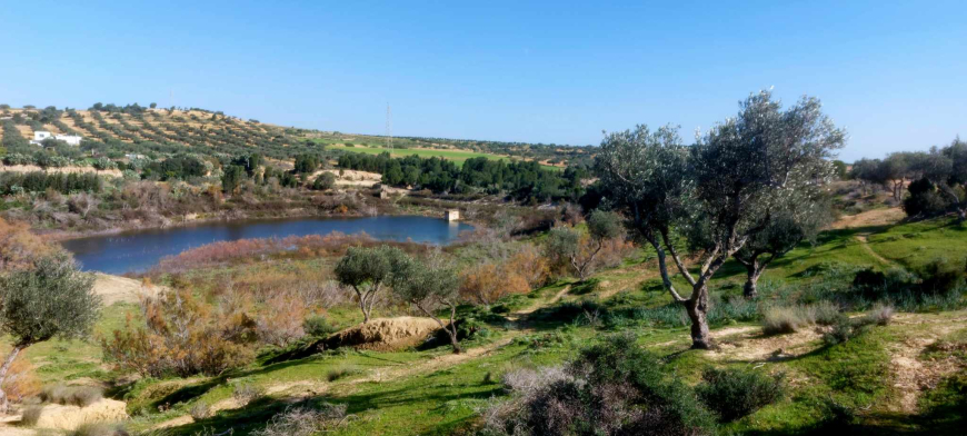 ملخص لسلسلة من الجلسات و الزيارات الميدانية الخاصة بدراسة تحديد خريطة المناطق المهددة بالفيضانات بمدينة نابل